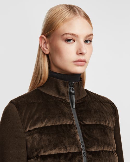 Shop Rudsak Velvet Hybrid Knit & Light Down Jacket In Espresso