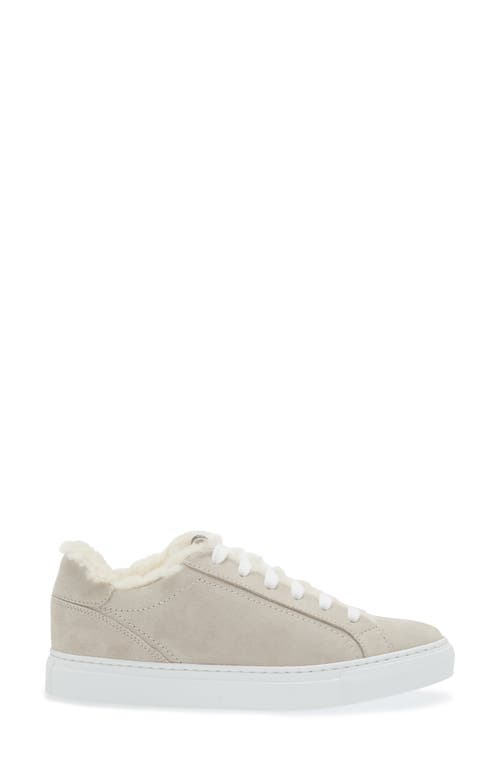 Shop Brunello Cucinelli Monili Detail Genuine Shearling Lined Suede Sneaker In C9593 Quarzo