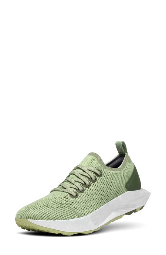 Allbirds Tree Flyer Running Shoe In Forage Green Blizzard | ModeSens