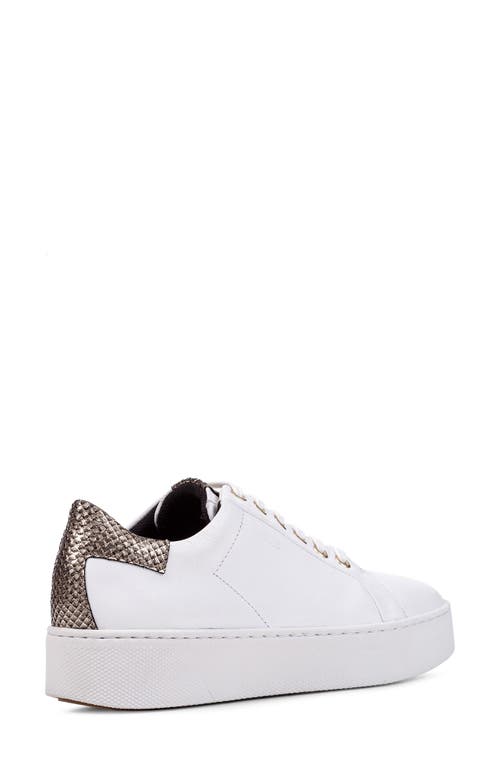 Shop Geox Skyely Low Top Sneaker In White Gold