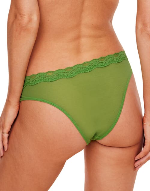 Adore Me Melrose Cheeky Panties In Medium Green