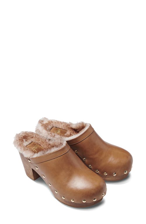 Beek Woodpecker Genuine Shearling Clog in Saddle /Honey Shearling 