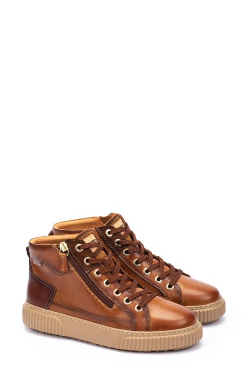 Pikolinos Riells High Top Sneaker In Brandy