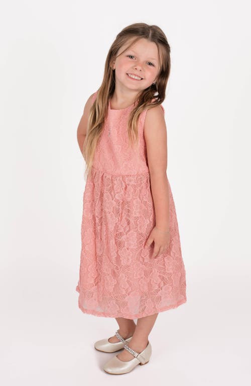 Popatu Sleeveless Lace Dress In Dusty Pink