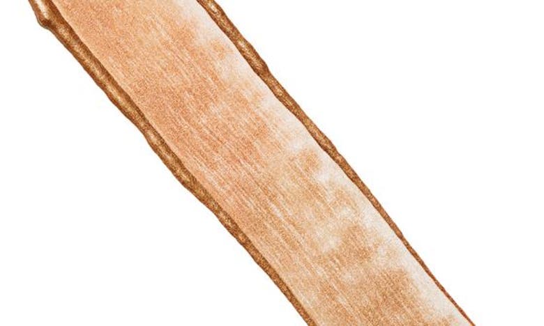 Stila Heaven's Hue Hyro-luminator In Bronze Beauty
