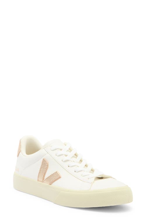 Veja Campo Sneaker In White/platine