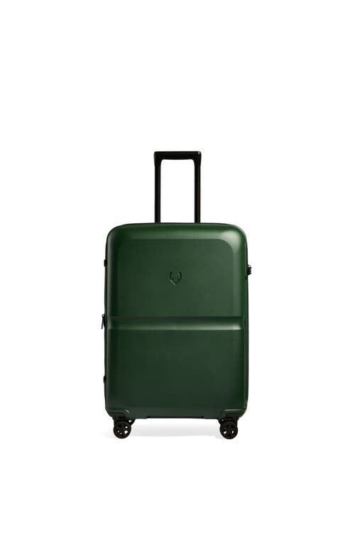Antler Single Stripe Medium In Green