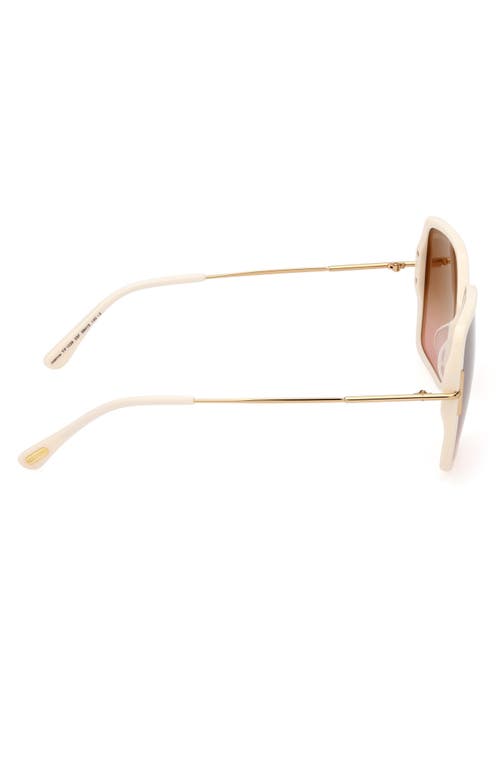 Tom Ford Sunglasses In Shiny Ivory Deep Gold/amber