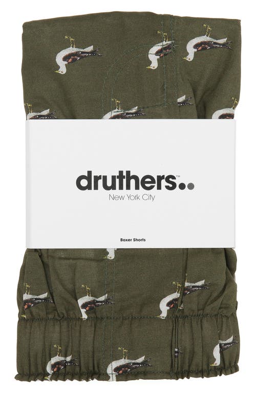 Druthers Seagulls Organic Cotton Boxers in Olive