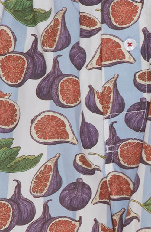 DRUTHERS NYC DRUTHERS NYC ORGANIC COTTON FIG SPREAD BOXER SHORT