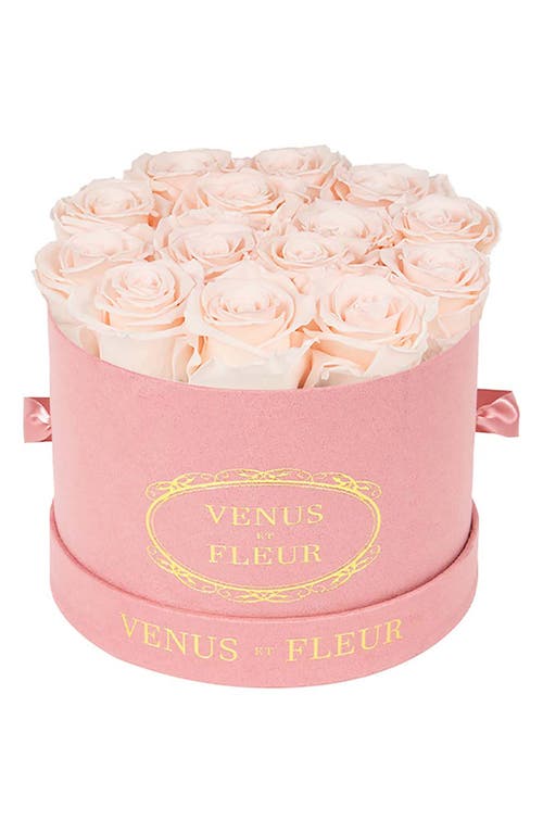 Venus ET Fleur Classic Round Eternity Roses in Blush at Nordstrom