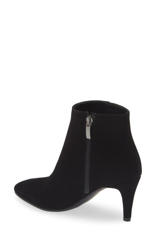 Cordani Nadia Bootie In Black Suede