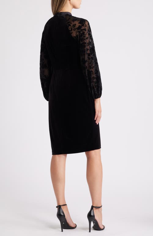 Shop Eliza J Long Sleeve Velvet Cocktail Dress In Black