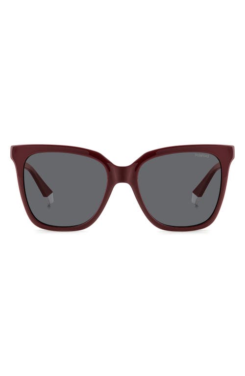 55mm Polarized Square Sunglasses in Burgundy/Gray Polarized