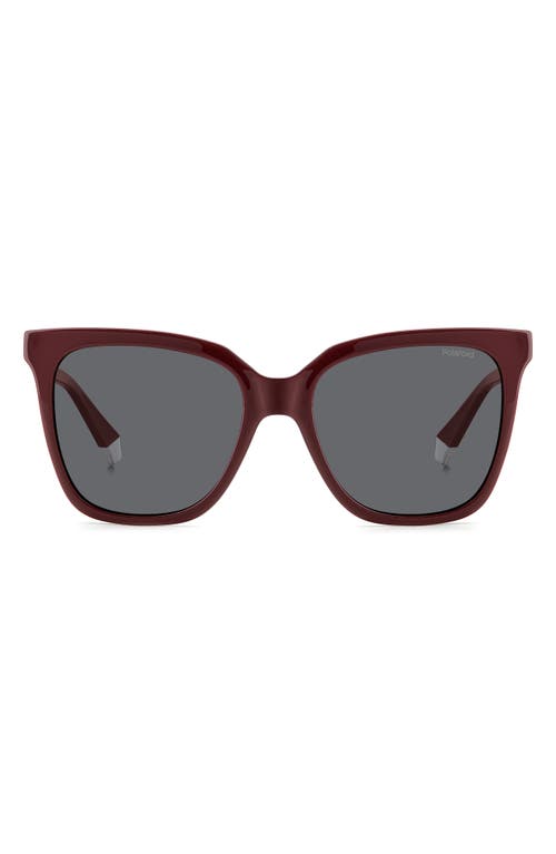 Shop Polaroid 55mm Polarized Square Sunglasses In Burgundy/gray Polarized