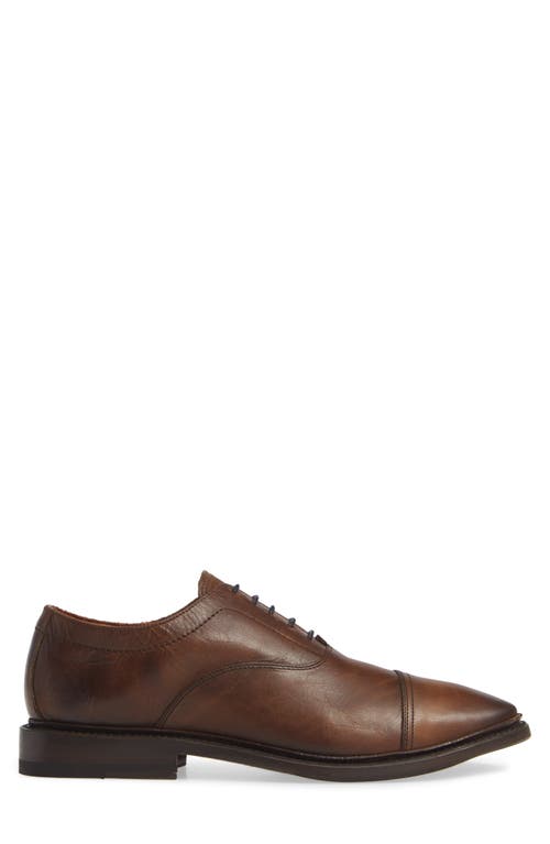 Frye Paul Bal Cap Toe Oxford In Cognac
