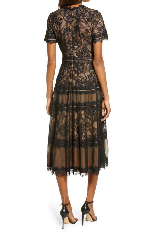 Tadashi Shoji Lace & Mesh Midi Cocktail Dress In Black/nude