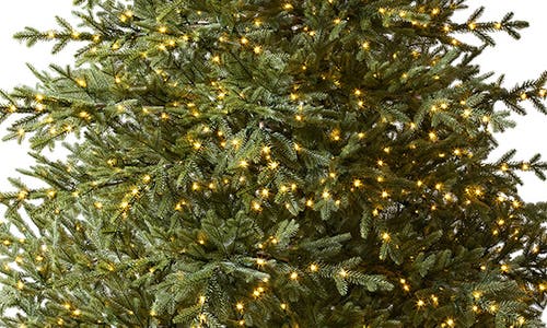 Shop Balsam Hill Sugarland Spruce Tree In Led Fairy Lights