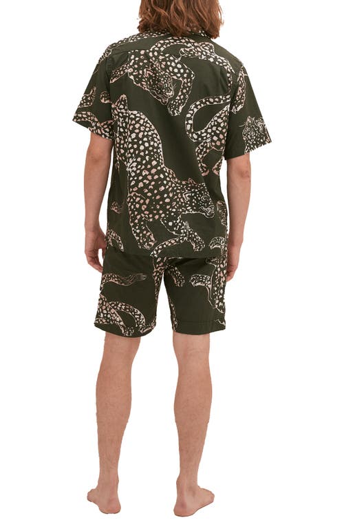 Desmond & Dempsey Jag Printed Cotton Pyjama Set In Green