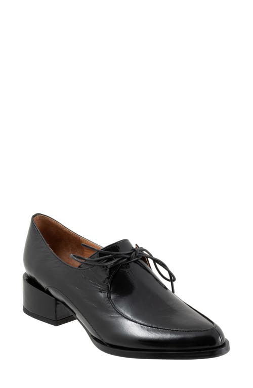 Shop Eos Footwear Casi Derby In Black Patent