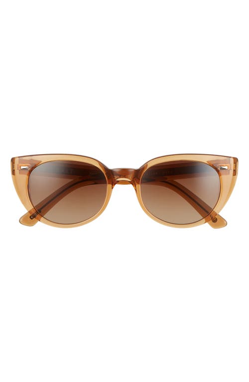 Taylor 52mm Polarized Cat Eye Sunglasses in Whiskey/Brown