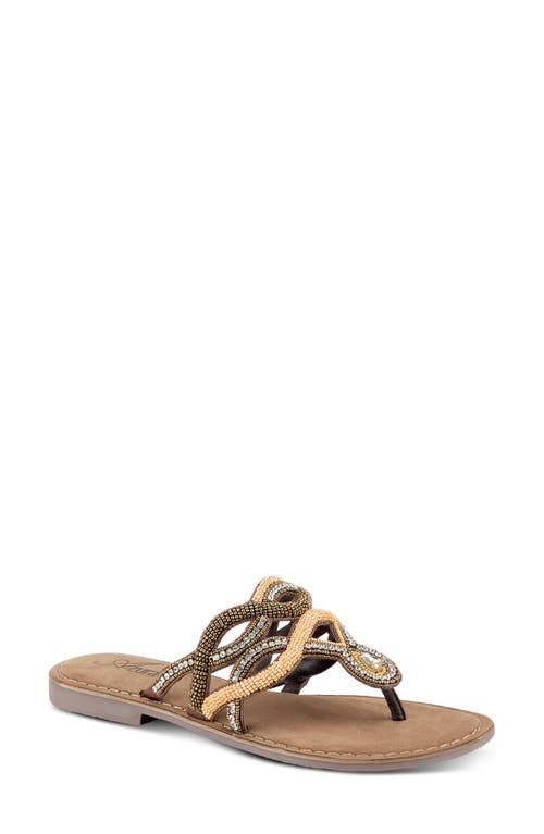 Shop Azura By Spring Step Kaa Flip Flop In Bronze Multi