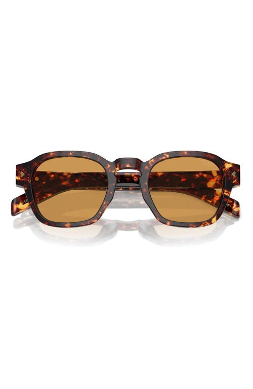 Shop Prada 53mm Phantos Sunglasses In Brown