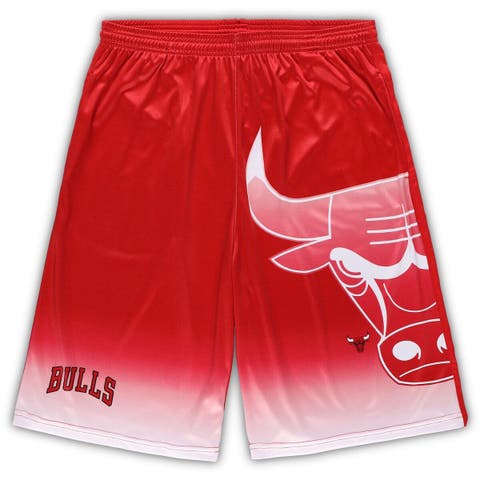 Arizona Cardinals Nike Sideline Player Knit Performance Shorts - Cardinal, Size: Medium, Red