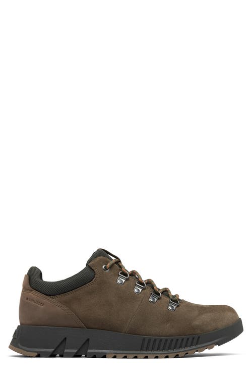 Shop Sorel Mac Hill™ Lite Low Profile Waterproof Hiker Shoe In Major/jet