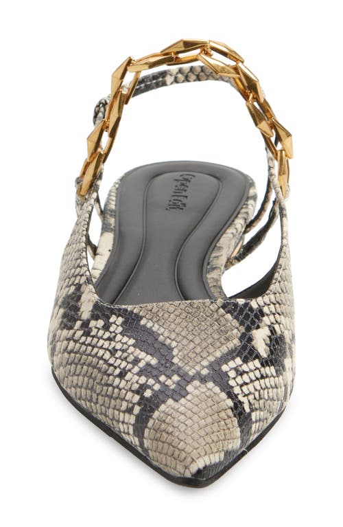 Shop Open Edit Olympia Snakeskin Embossed Slingback Flat In Black-white Snake