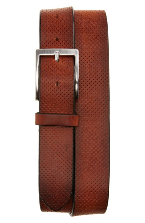 Perforated Leather Belt in Nevada Tan