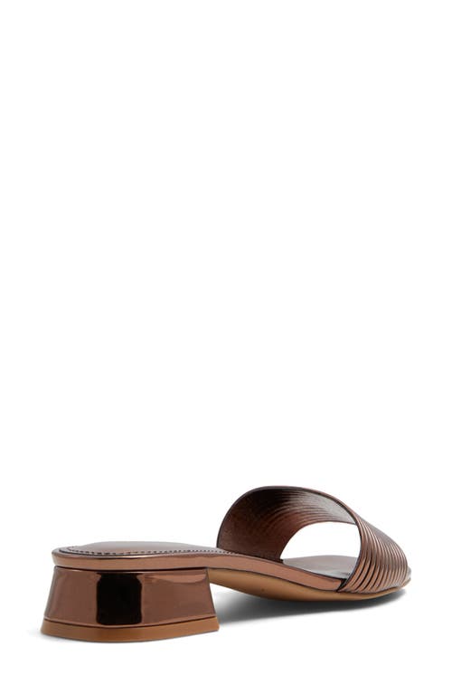 Shop Aldo Neela Slide Sandal In Bronze