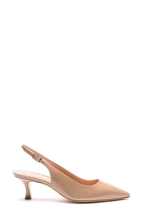 Bruno Magli Palerma Pointed Toe Kitten Heel Slingback Pump In Biscuit Patent