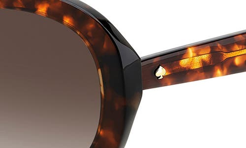 Kate Spade Avah 56mm Gradient Round Sunglasses In Havana/brown Gradient