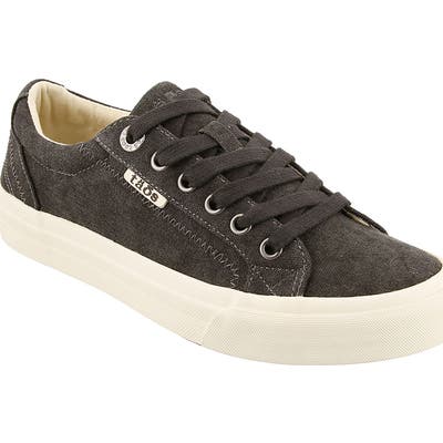 Taos Plim Soul Sneaker, Grey