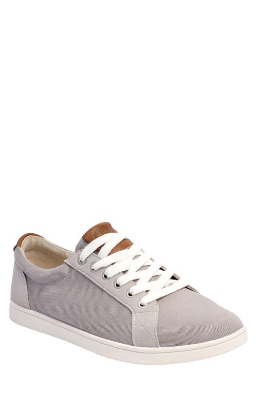 Avalon Canvas Sneaker in Grey