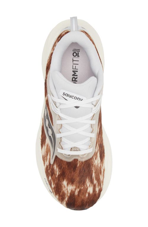 Shop Saucony X Nordstrom Triumph 22 Running Shoe In Chocolate/white