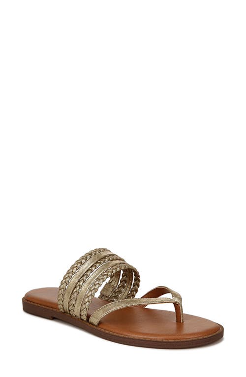 Cary Thong Sandal in Gold