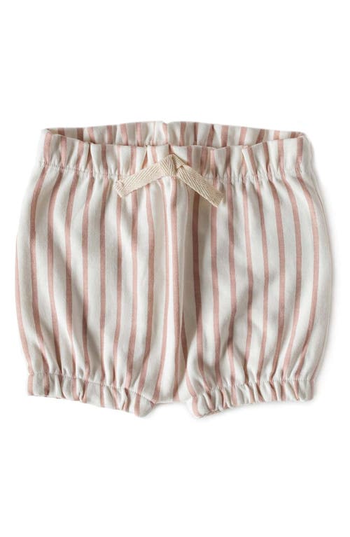 Pehr Stripes Away Bubble Shorts in Pink2 at Nordstrom, Size 6-12M