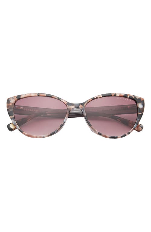 Ted Baker London 55mm Cat Eye Sunglasses In Tortoise
