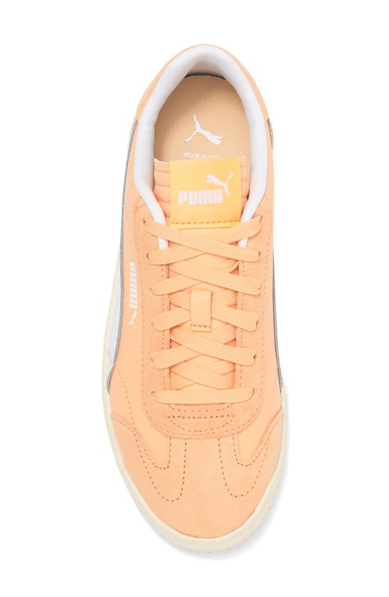 Puma Club 5v5 Sneaker In Peach Fizz- Whit