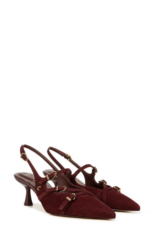 Shop Circus Ny By Sam Edelman Fraya Slingback Pointed Toe Pump In Spiced Plum