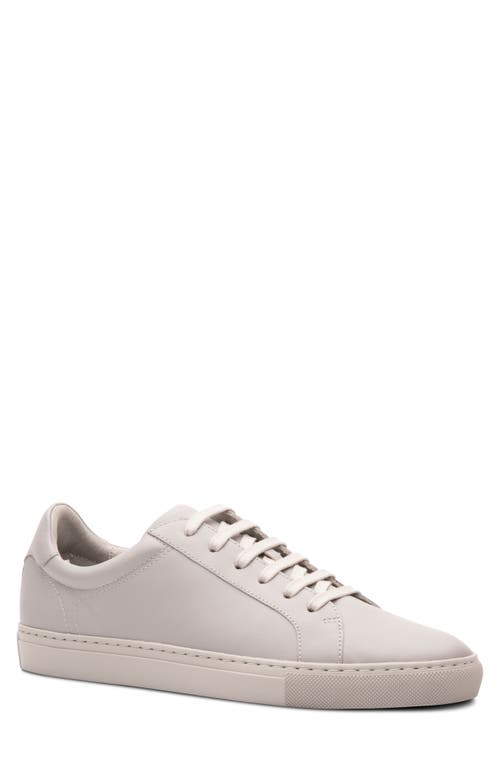 Jay Low Top Sneaker in Light Grey