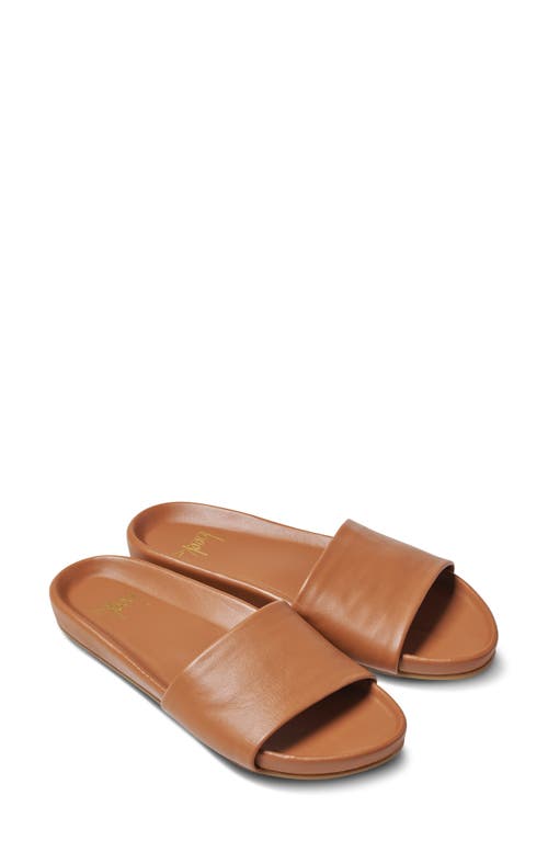 Gallito Metallic Slide Sandal in Tan