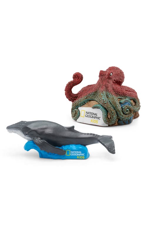 tonies National Geographic Whale & Octopus Tonie Audio Character Bundle in Grey Multi at Nordstrom