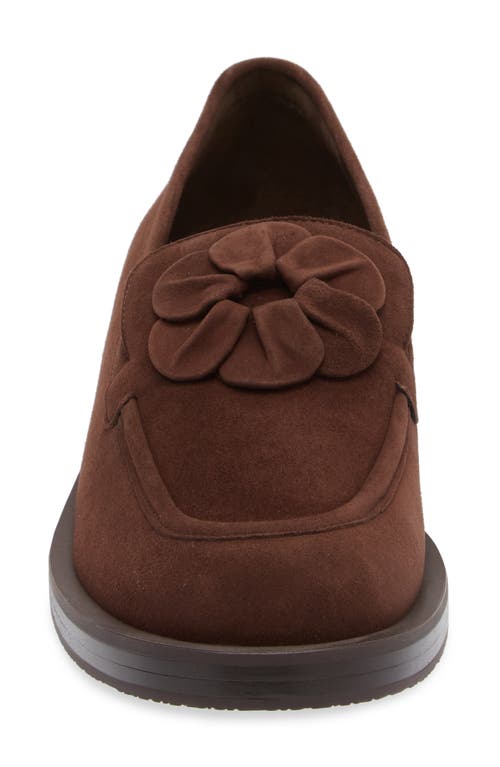 Stuart Weitzman X Sandy Liang Loafer In Walnut Suede