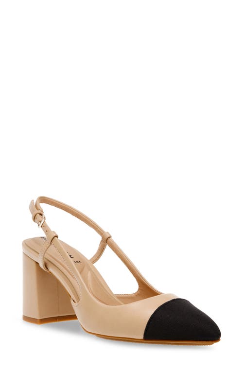Anne Klein Brinlee Pointed Toe Pump In Nude/black