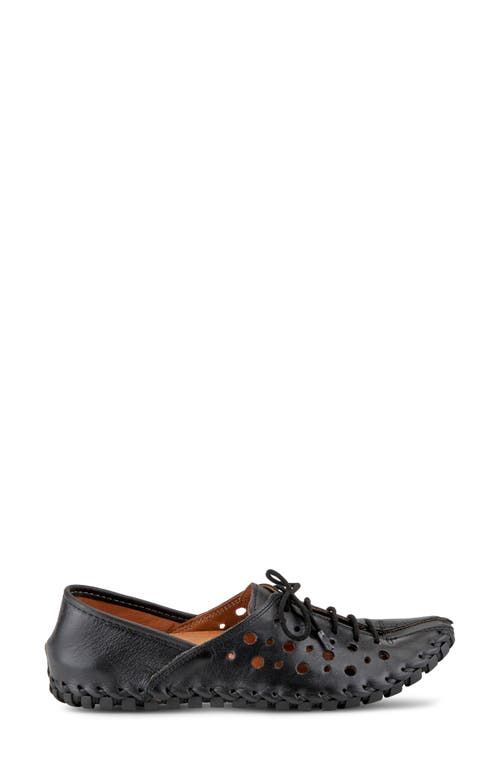 Spring Step Moonwalk Lace-up Shoe In Black