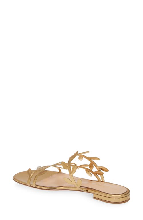 Shop Gianvito Rossi Leaf Slide Sandal In Metal Mekong