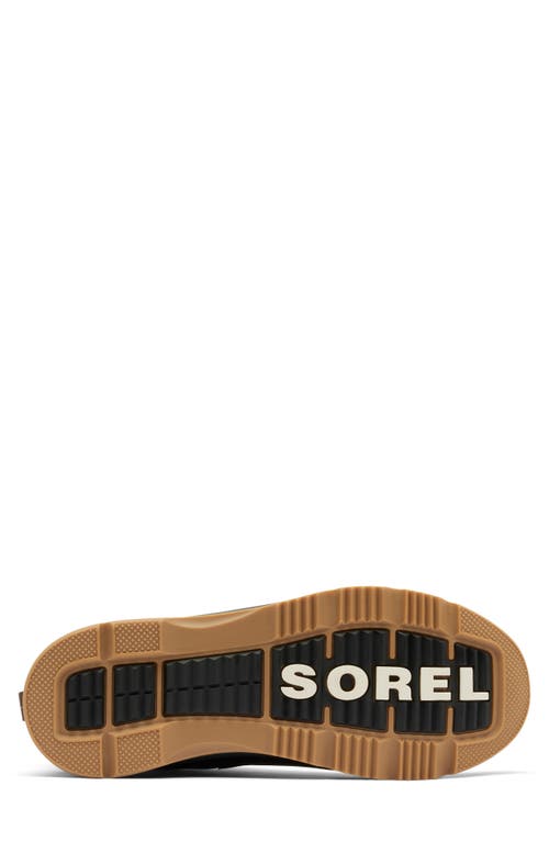 Shop Sorel Ankeny Ii Plus Waterproof Hiking Boot In Tobacco/black